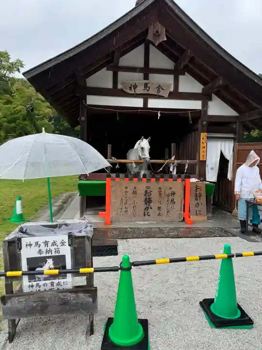 賀茂別雷神社(上賀茂神社)(京都府)