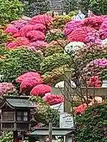 根津神社(東京都)