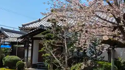 龍華院(京都府)