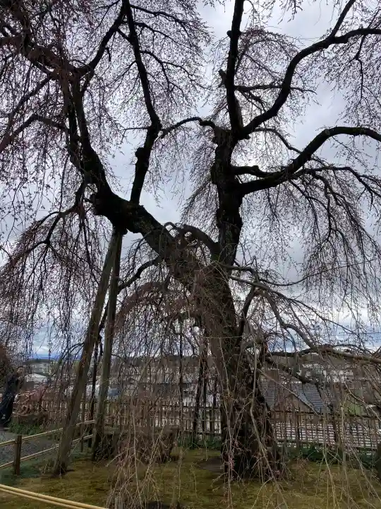 身照寺の{uncategorized: "未分類", other: "その他", undefined: "問題あり", building: "その他建物", grave: "お墓", sacred_gate: "鳥居", guardian: "狛犬", statue: "像", buddha: "仏像", history: "歴史", nature: "自然", garden: "庭園", animal: "動物", pagoda: "塔", temizu: "手水舎", mountain_gate: "山門・神門", sanctuary: "本殿・本堂", subordinate: "末社・摂社", art: "芸術", scenery: "景色", jizo: "地蔵", ema: "絵馬", goshuin: "御朱印", omikuji: "おみくじ", items: "授与品その他", amulet: "お守り", goshuincho: "御朱印帳", eats: "食事", festival: "お祭り", votive_dance: "神楽", shichigosan: "七五三参", wedding: "結婚式", experience: "体験その他", initially: "初詣", around: "周辺", anti_infection: "感染症対策"}