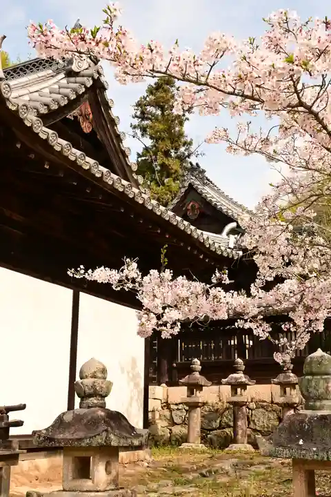 常信寺(愛媛県)