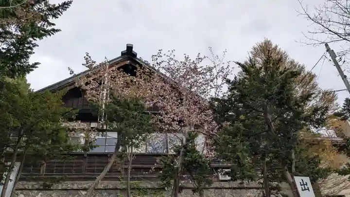 上川神社の自然