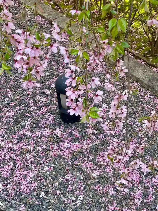 頂法寺(六角堂)(京都府)