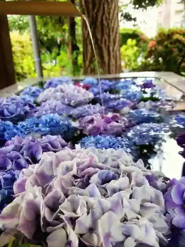 桜神宮(東京都)