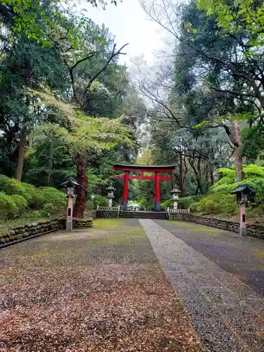 大宮八幡宮の鳥居