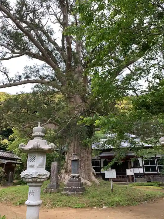 新善光寺(千葉県)