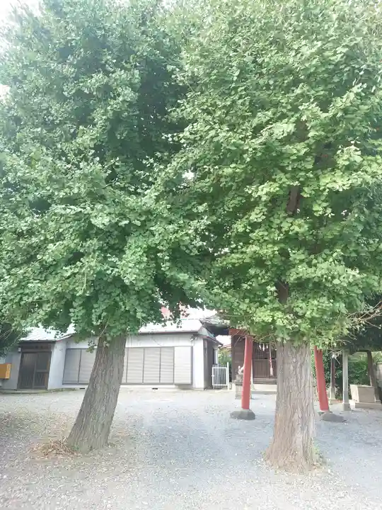 牛子稲荷神社(埼玉県)