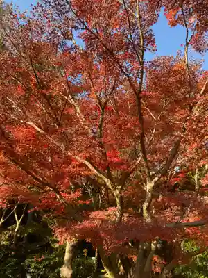 覚園寺(神奈川県)