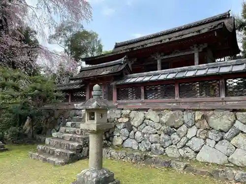 醍醐寺(京都府)
