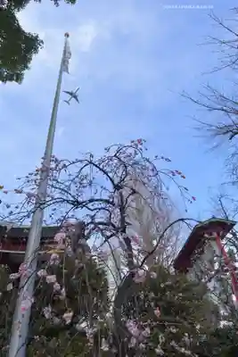 居木神社(東京都)