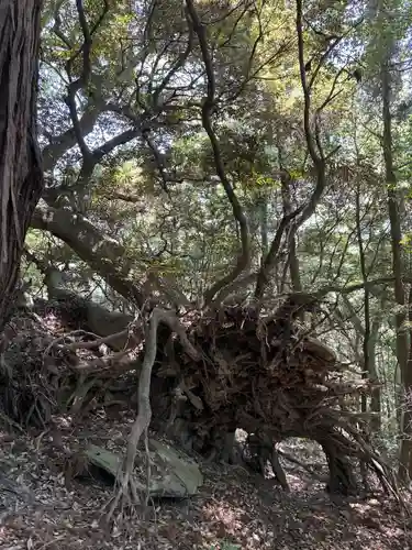 佐志能神社(茨城県)