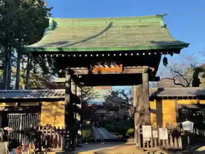 豪徳寺の山門・神門
