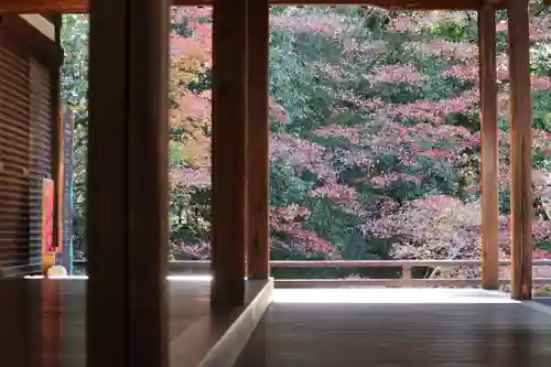 隨心院（随心院）(京都府)