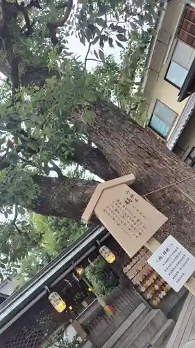晴明神社(京都府)