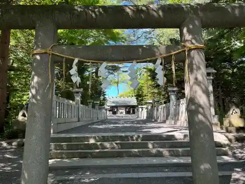 千歳神社の鳥居