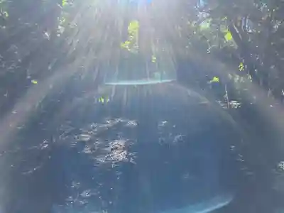 蓮久寺(千葉県)