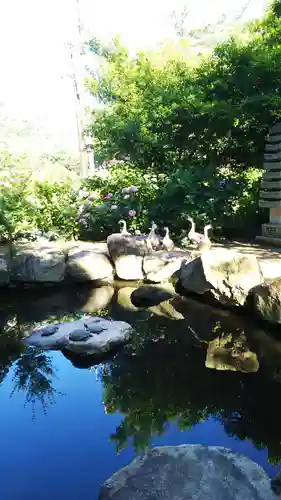 楽法寺（雨引観音）の動物