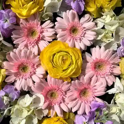 鹿島台神社(宮城県)