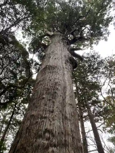 麻賀多神社(千葉県)