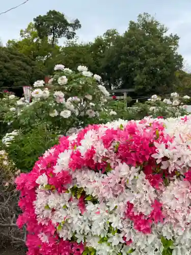 箭弓稲荷神社の{uncategorized: "未分類", other: "その他", undefined: "問題あり", building: "その他建物", grave: "お墓", sacred_gate: "鳥居", guardian: "狛犬", statue: "像", buddha: "仏像", history: "歴史", nature: "自然", garden: "庭園", animal: "動物", pagoda: "塔", temizu: "手水舎", mountain_gate: "山門・神門", sanctuary: "本殿・本堂", subordinate: "末社・摂社", art: "芸術", scenery: "景色", jizo: "地蔵", ema: "絵馬", goshuin: "御朱印", omikuji: "おみくじ", items: "授与品その他", amulet: "お守り", goshuincho: "御朱印帳", eats: "食事", festival: "お祭り", votive_dance: "神楽", shichigosan: "七五三参", wedding: "結婚式", experience: "体験その他", initially: "初詣", around: "周辺", anti_infection: "感染症対策"}