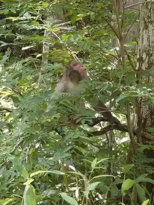穂高神社奥宮(長野県)
