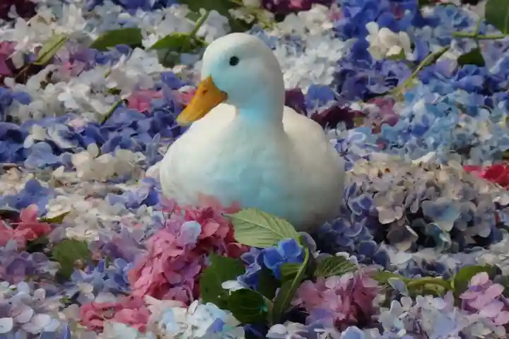楽法寺(雨引観音)の動物