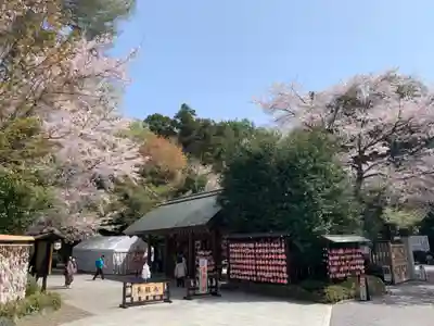 櫻木神社のその他建物