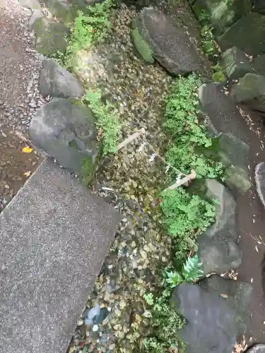 川越氷川神社(埼玉県)
