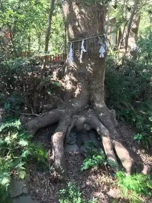 紀州東照宮(和歌山県)