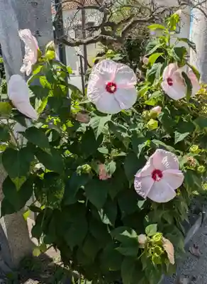 門真神社(大阪府)