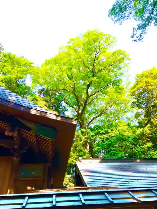 中村八幡宮(栃木県)