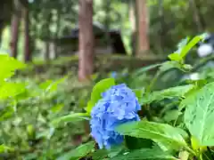 子檀嶺神社の自然