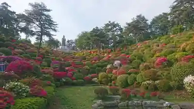塩船観音寺(東京都)