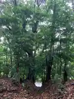 神社(名称不明)の周辺