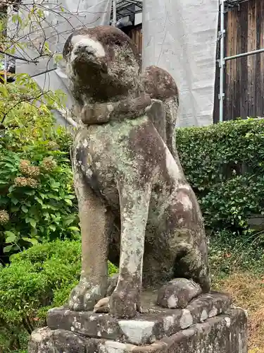 松江城山稲荷神社の狛犬