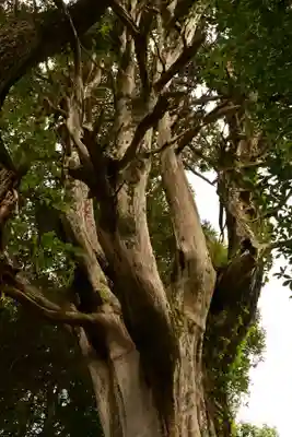 円城寺(島根県)