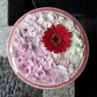 帯廣神社の手水舎