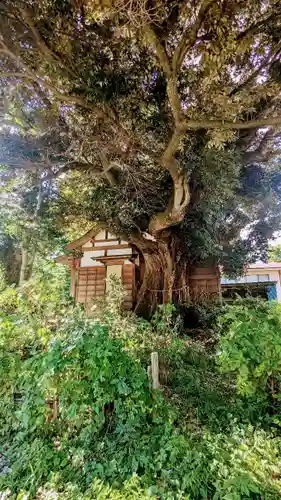 浅間神社の本殿・本堂