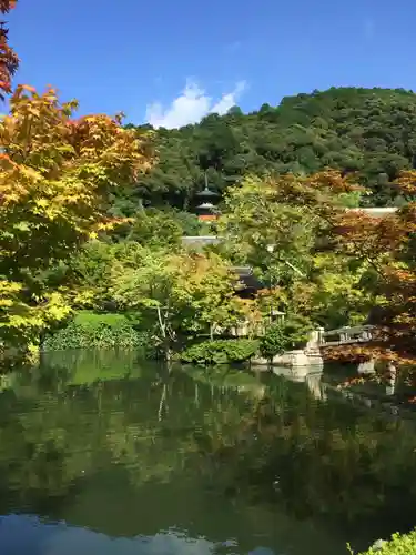 禅林寺（永観堂）の景色