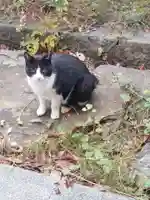 刺田比古神社(和歌山県)