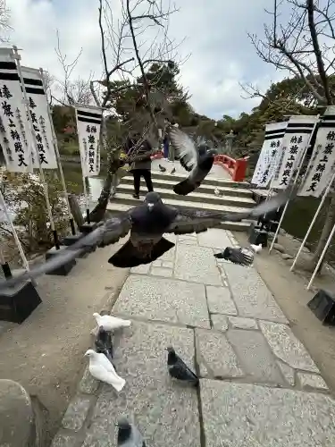旗上弁財天社の{uncategorized: "未分類", other: "その他", undefined: "問題あり", building: "その他建物", grave: "お墓", sacred_gate: "鳥居", guardian: "狛犬", statue: "像", buddha: "仏像", history: "歴史", nature: "自然", garden: "庭園", animal: "動物", pagoda: "塔", temizu: "手水舎", mountain_gate: "山門・神門", sanctuary: "本殿・本堂", subordinate: "末社・摂社", art: "芸術", scenery: "景色", jizo: "地蔵", ema: "絵馬", goshuin: "御朱印", omikuji: "おみくじ", items: "授与品その他", amulet: "お守り", goshuincho: "御朱印帳", eats: "食事", festival: "お祭り", votive_dance: "神楽", shichigosan: "七五三参", wedding: "結婚式", experience: "体験その他", initially: "初詣", around: "周辺", anti_infection: "感染症対策"}