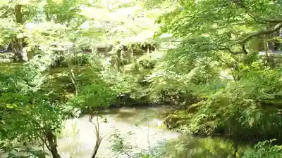 圓光寺(京都府)