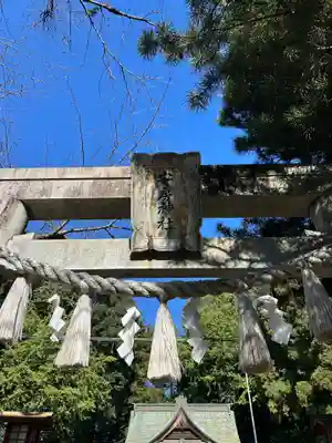 安房神社の鳥居