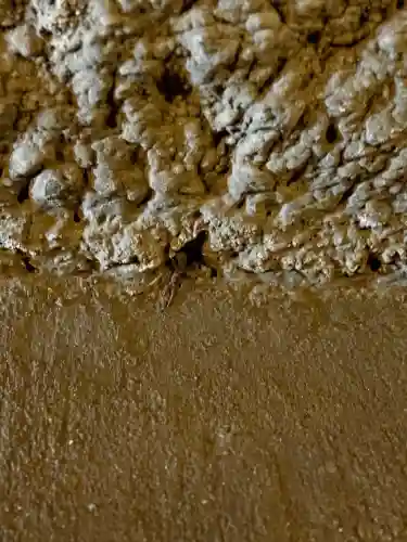 銭洗弁財天宇賀福神社(神奈川県)