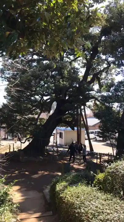 九重神社の自然