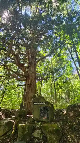 戸隠神社火之御子社(長野県)