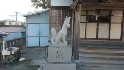 稲荷神社(今井)の狛犬