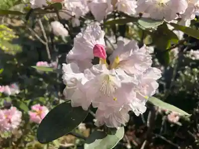 木舟山　順教寺(広島県)