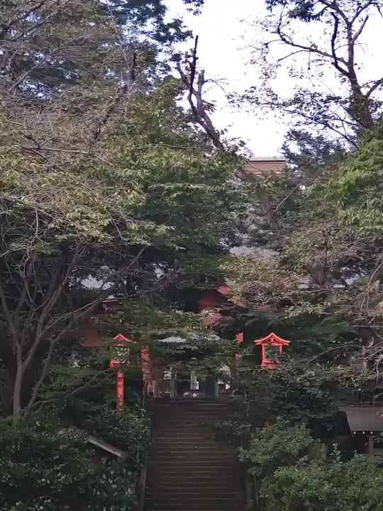 普明寺(東京都)