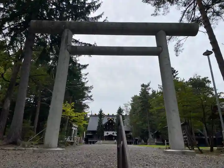 上川神社の鳥居